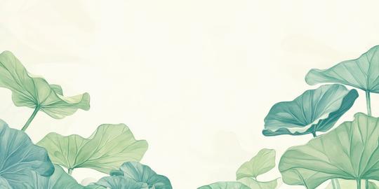 Contrast banner featuring lotus seeds with ample empty space for text on a light