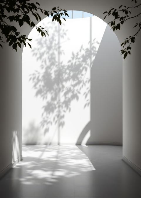 Shadow overlay effect isolated on transparent transparent shadows and light from leaves and branches