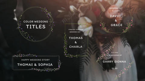 Color Wedding Titles