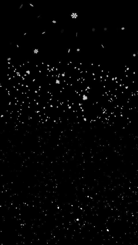 Snow 4 Styles Vertical Motion Overlay MOGRT 14