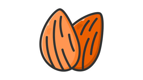 animated almond icon
