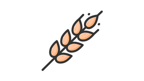 animated gluten icon