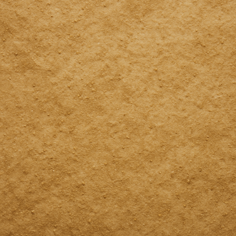 Parchment Paper_10