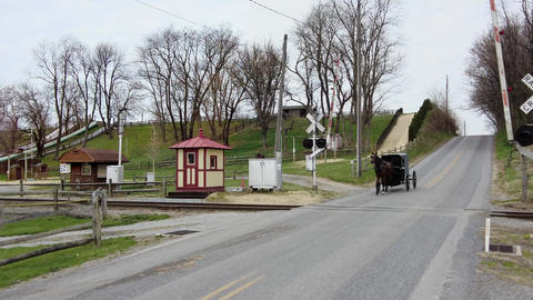 Przyroda