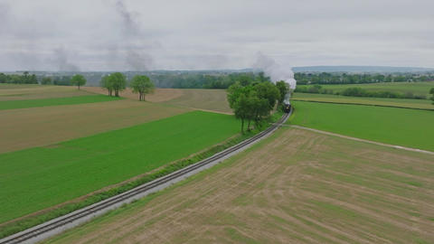 Zwierzęta