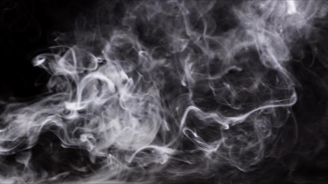 49104602