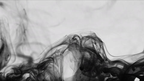 49104603