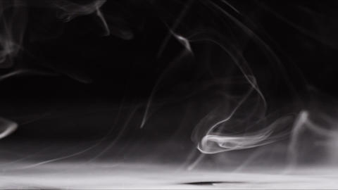 49104600
