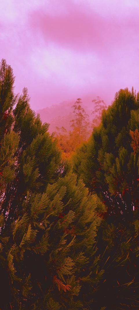 Dense