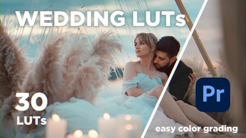 30 Wedding LUTs