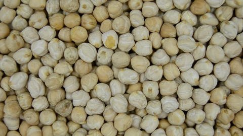 Organic dried chickpea beans consisting of raw bengal legume pea