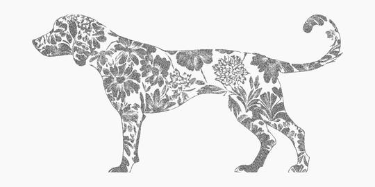 Silhouette of a dog made of flowers. Textured ink form with grainy