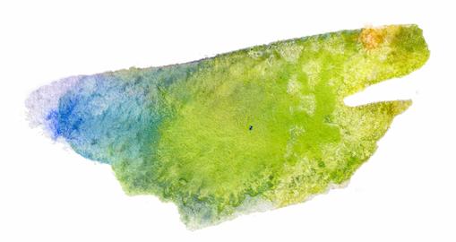 Vibrant watercolor abstraction resembling a fish swimming through a dreamlike