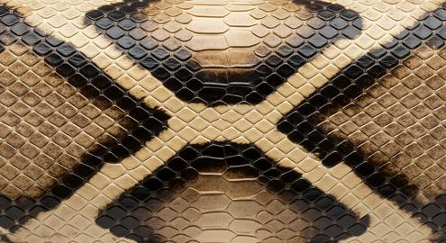 Beautiful diamond pattern snakeskin, luxurious python leather texture