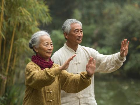 Elderly couple practicing tai chi in garden