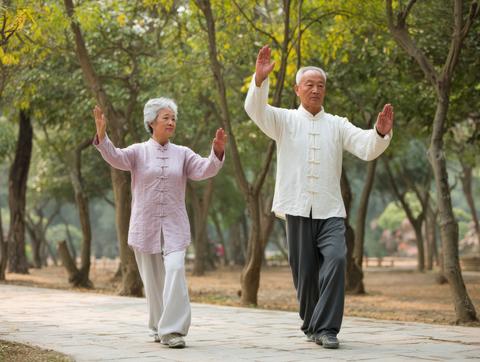 Elderly couple practicing tai chi in park