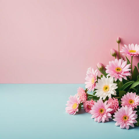 Bouquet of pink and white daisies on a pastel pink and blue background