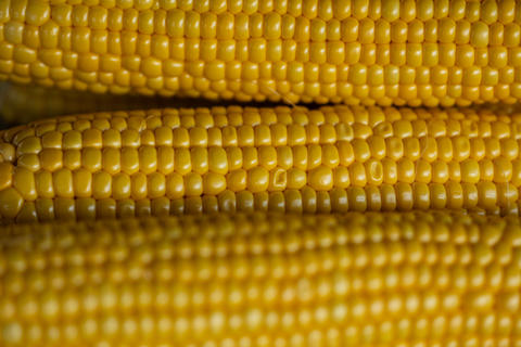Close up macro shots of golden colored corn