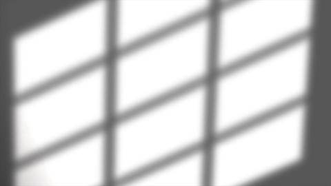 Abstract Window natural shadow with moving tree branches on wall background