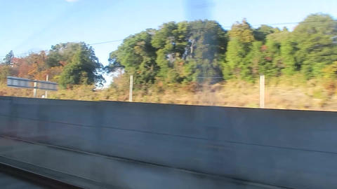 Scenery from the train