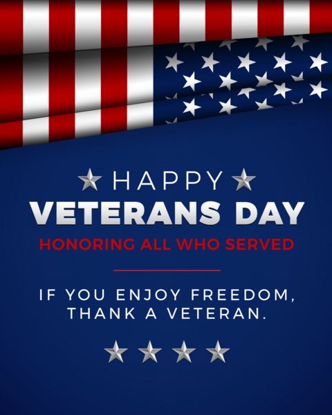 Happy Veterans Day vertical template for social media post