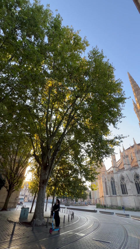 Cathedrale Saint-Andre de Bordeaux, Bordeaux, Gironde, France