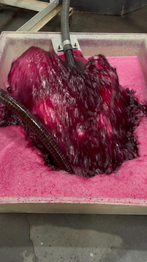 Wine factory, Aeration of grape juice during wine making in a cellar, Bordeaux