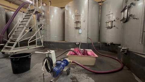 Wine factory, Aeration of grape juice during wine making in a cellar, Bordeaux