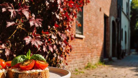 Toasted Bruschetta With Creamy Spread, Cherry Tomatoes And Basil Against Crimson Ivy In Warm