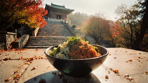 Noodle Bowl On Stone With Temple Steps And Red Maples Beyond, Morning Glow And Fallen Leaves