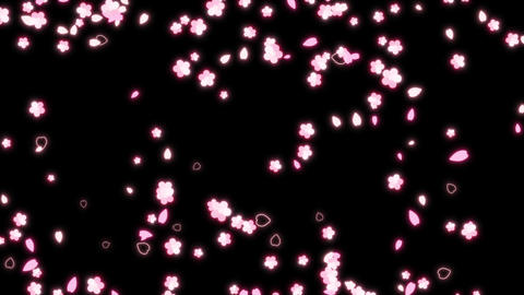 8000無料動画素材, 著作権フリーストックビデオ