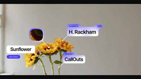 CallOuts