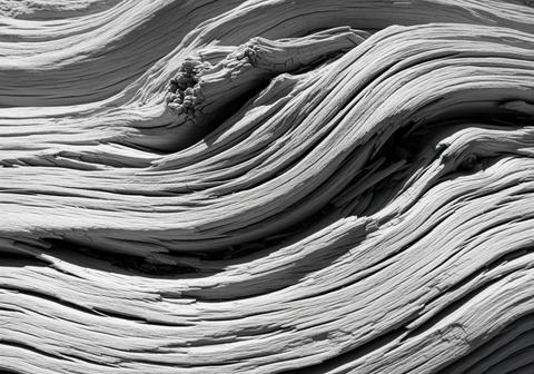 Highly detailed abstract monochrome texture of bleached weathered driftwood grain
