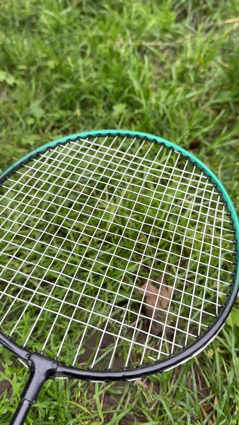 badminton racket on green grass background