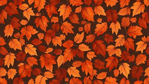autumn leaves background