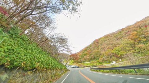 8000無料動画素材, 著作権フリーストックビデオ