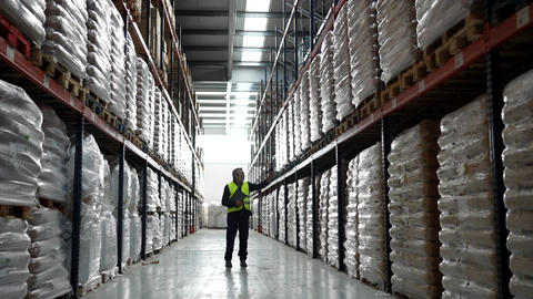 Warehouse worker inspecting pallets on shelves