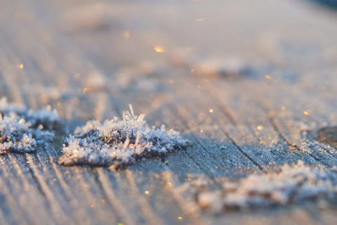 Macro Frost Crystals in Morning Sunlight with Soft Bokeh Background
