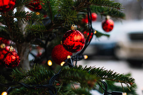 Red Christmas balls and garlands on branch