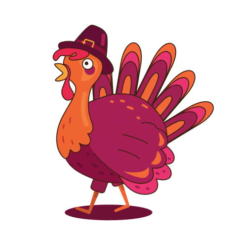 Turkey Boogie Celebration