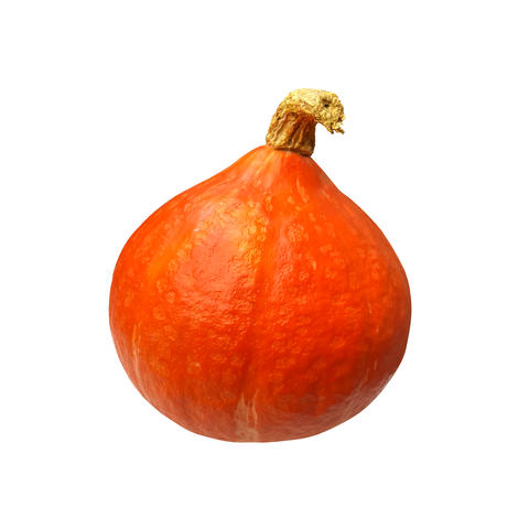 Bright orange pumpkin fresh whole tasty ripe vegetable seasonal image for autumn