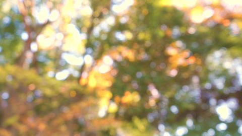 Природа