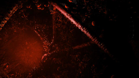 Magic of the forest at night with glowing elements and mysterious atmosphere