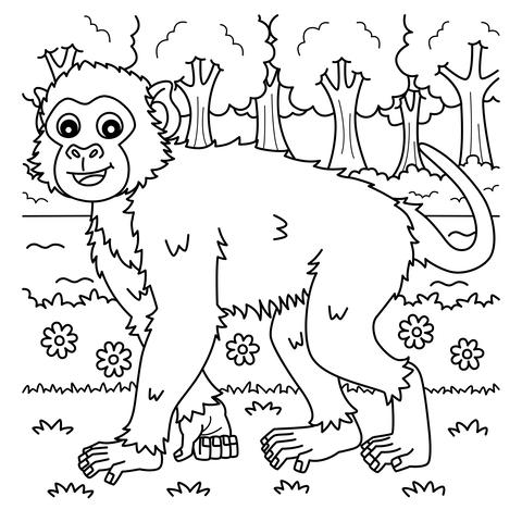 Rhesus Macaque Monkey Coloring Page for Kids