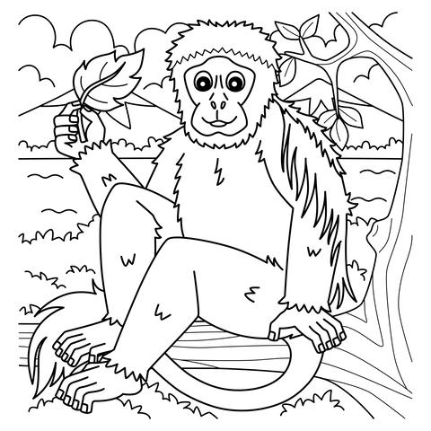 Black and White Colobus Monkey Coloring Page