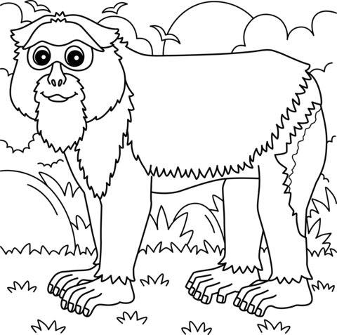 De Brazza Monkey Coloring Page for Kids