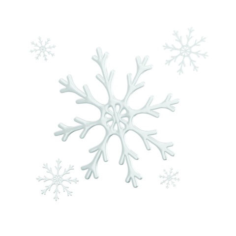 3D Snowflakes