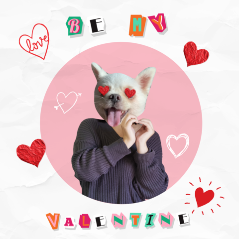 Love celebration with playful animal faces and Valentine Day themes. Vector