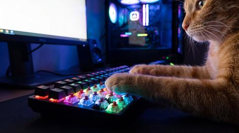 Orange Tabby Cat Typing on RGB Mechanical Keyboard with Gaming PC Background
