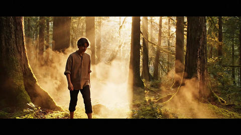Boy running in the forest